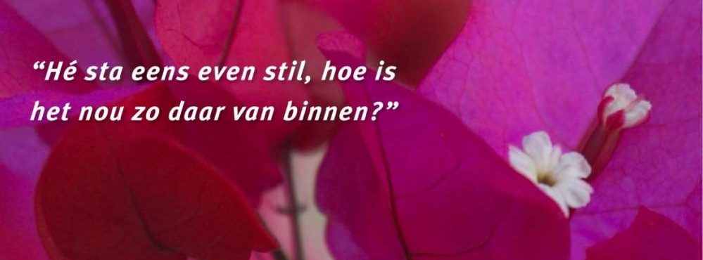 aaffienV